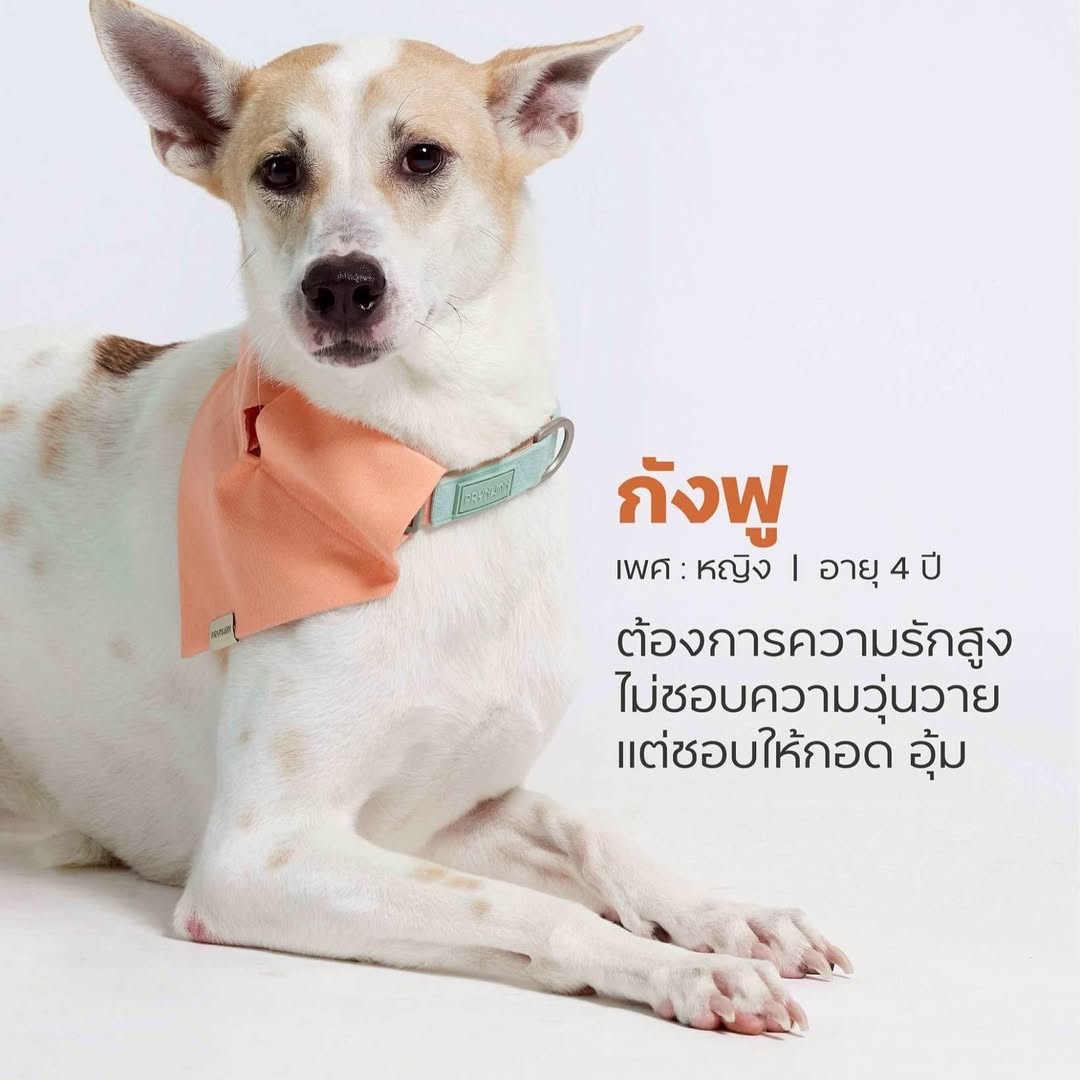 เก๋ - ชลลดา เมฆราตรี