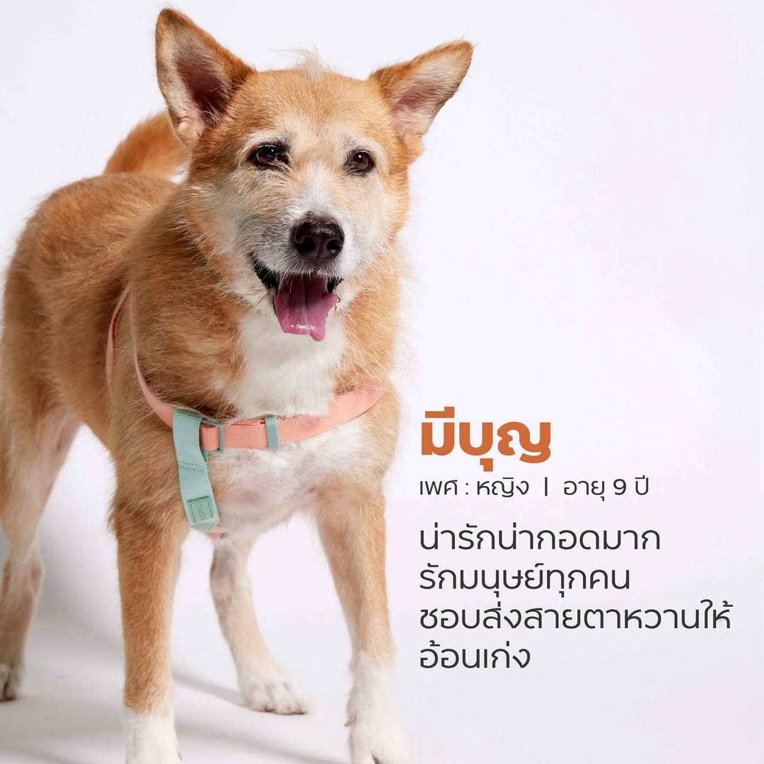 เก๋ - ชลลดา เมฆราตรี