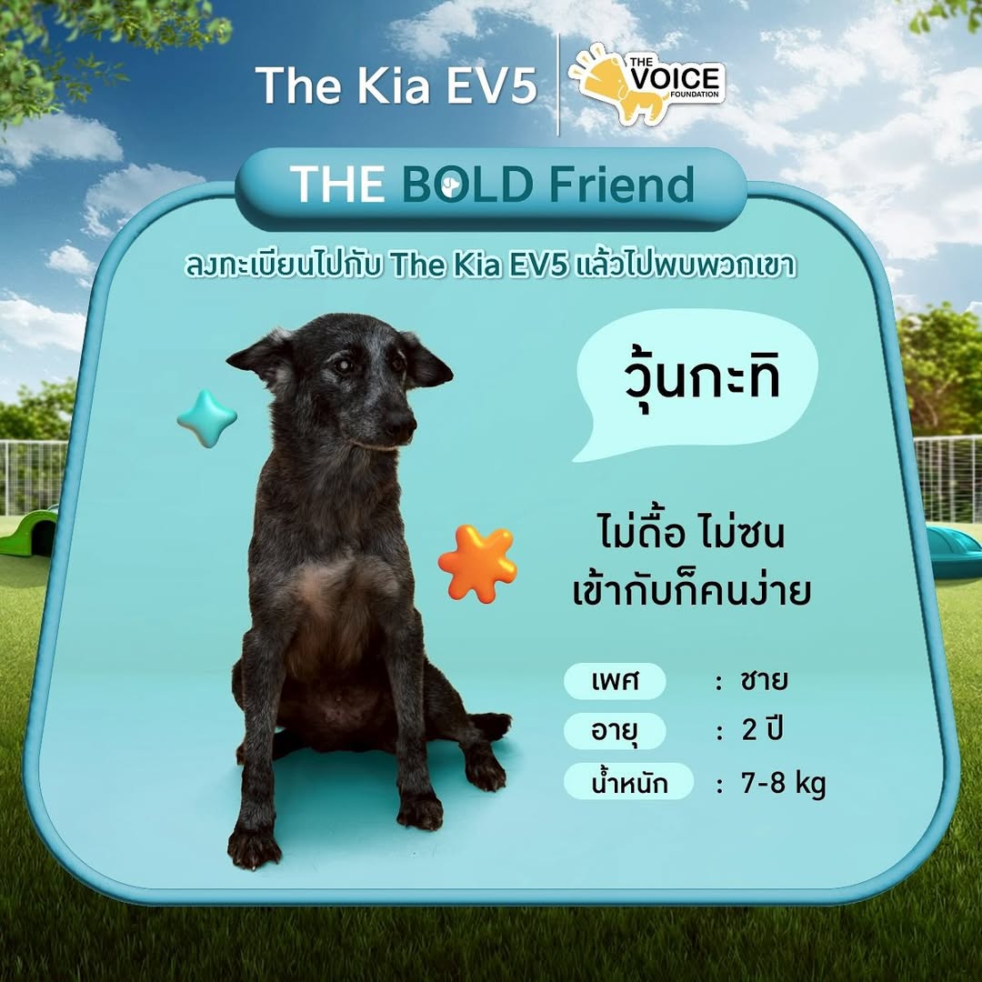 เก๋ - ชลลดา เมฆราตรี