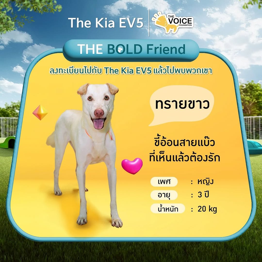 เก๋ - ชลลดา เมฆราตรี