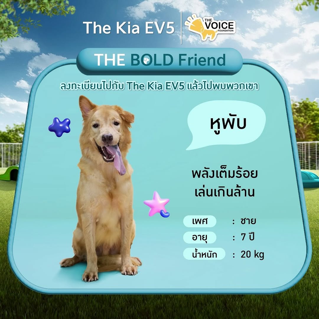 เก๋ - ชลลดา เมฆราตรี