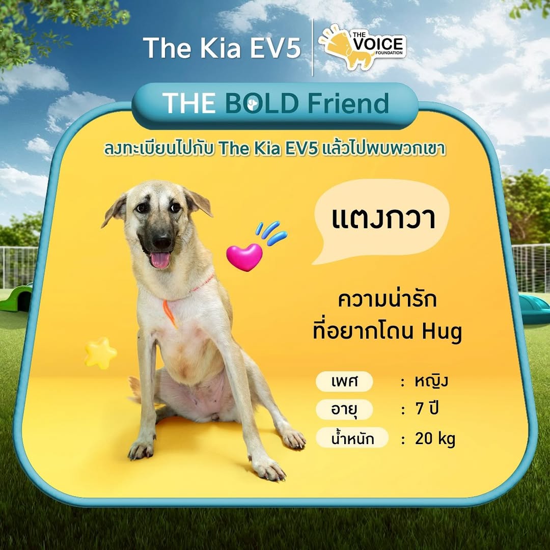 เก๋ - ชลลดา เมฆราตรี