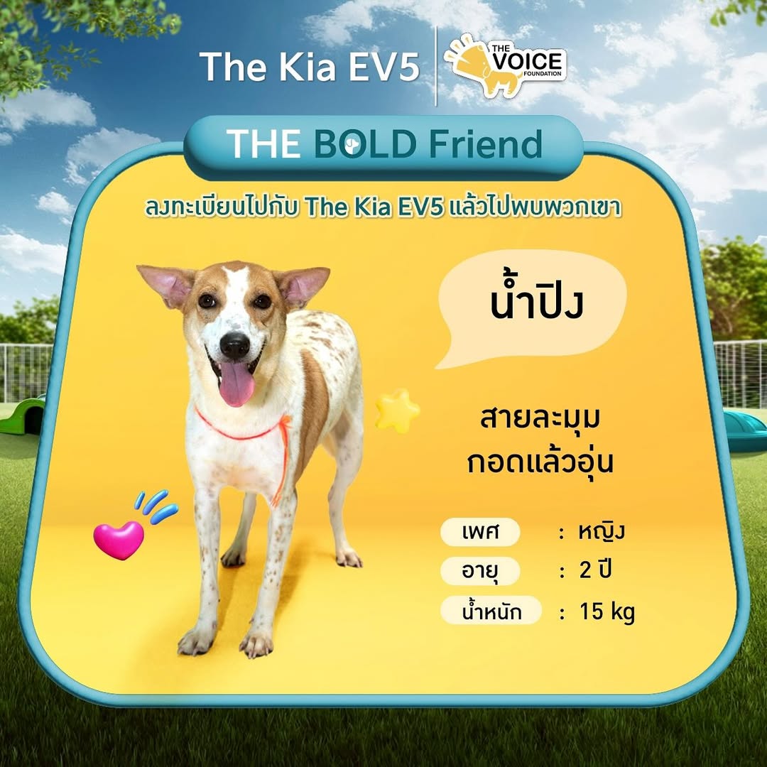 เก๋ - ชลลดา เมฆราตรี