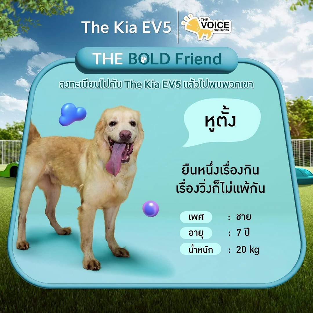 เก๋ - ชลลดา เมฆราตรี