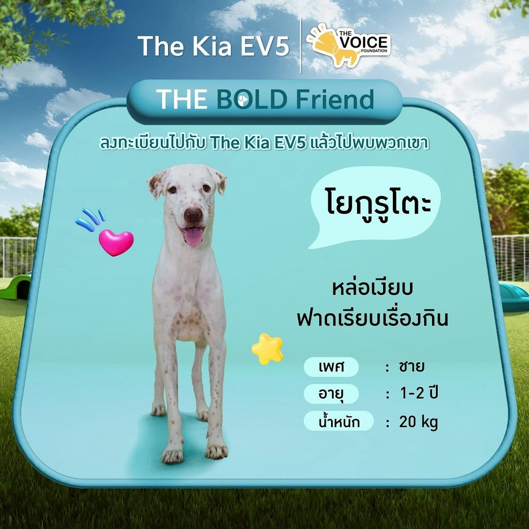 เก๋ - ชลลดา เมฆราตรี