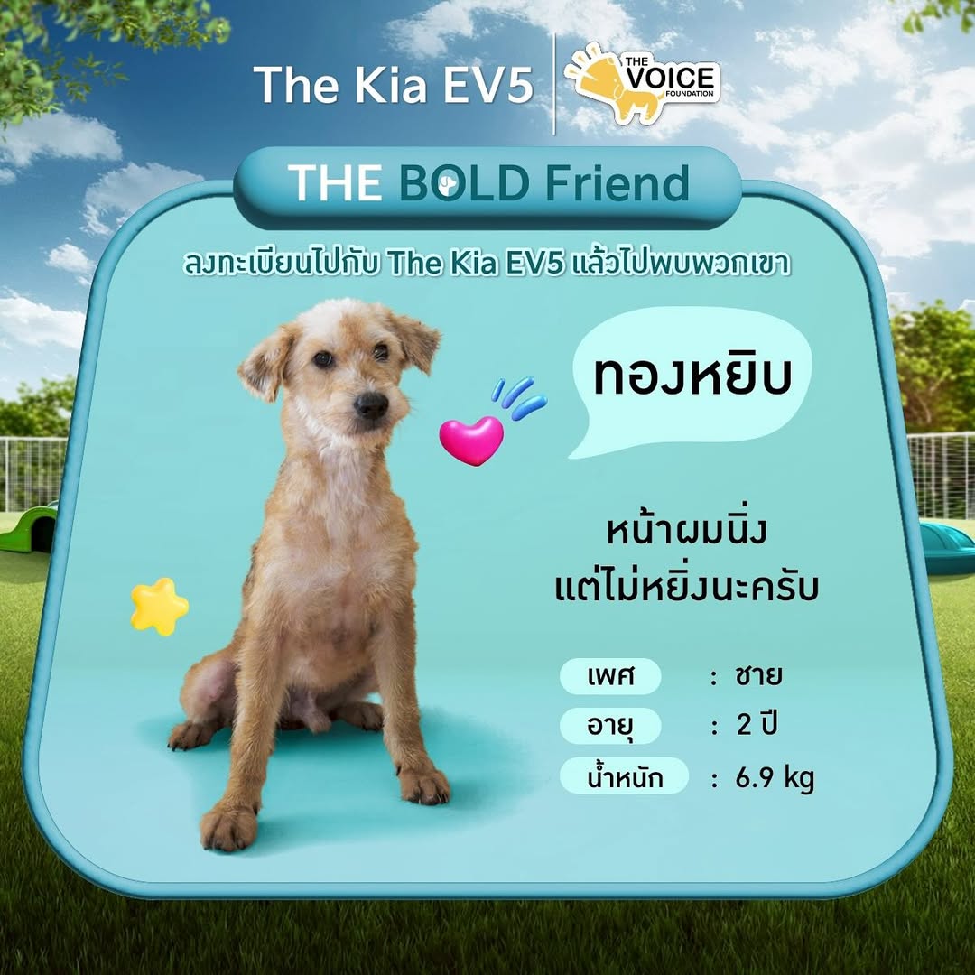 เก๋ - ชลลดา เมฆราตรี
