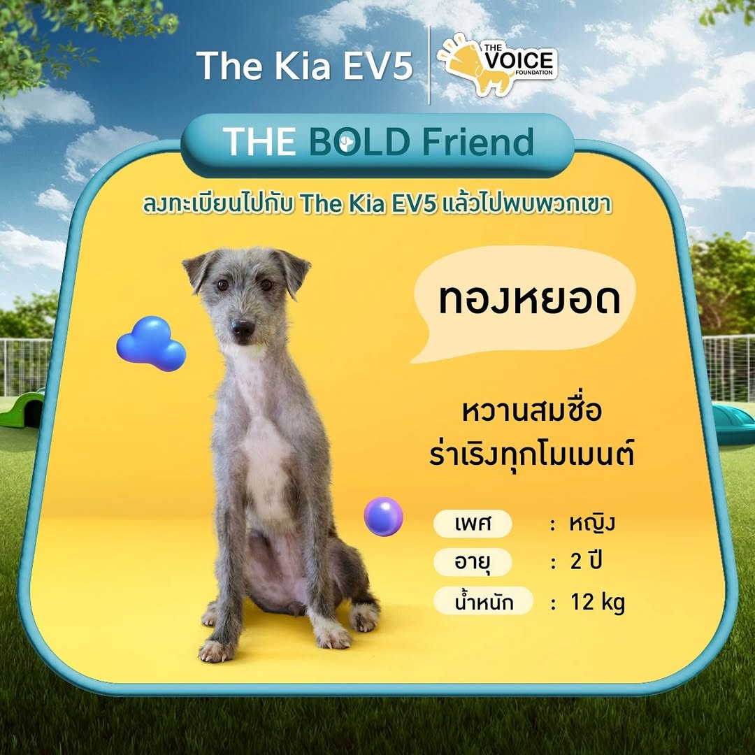 เก๋ - ชลลดา เมฆราตรี