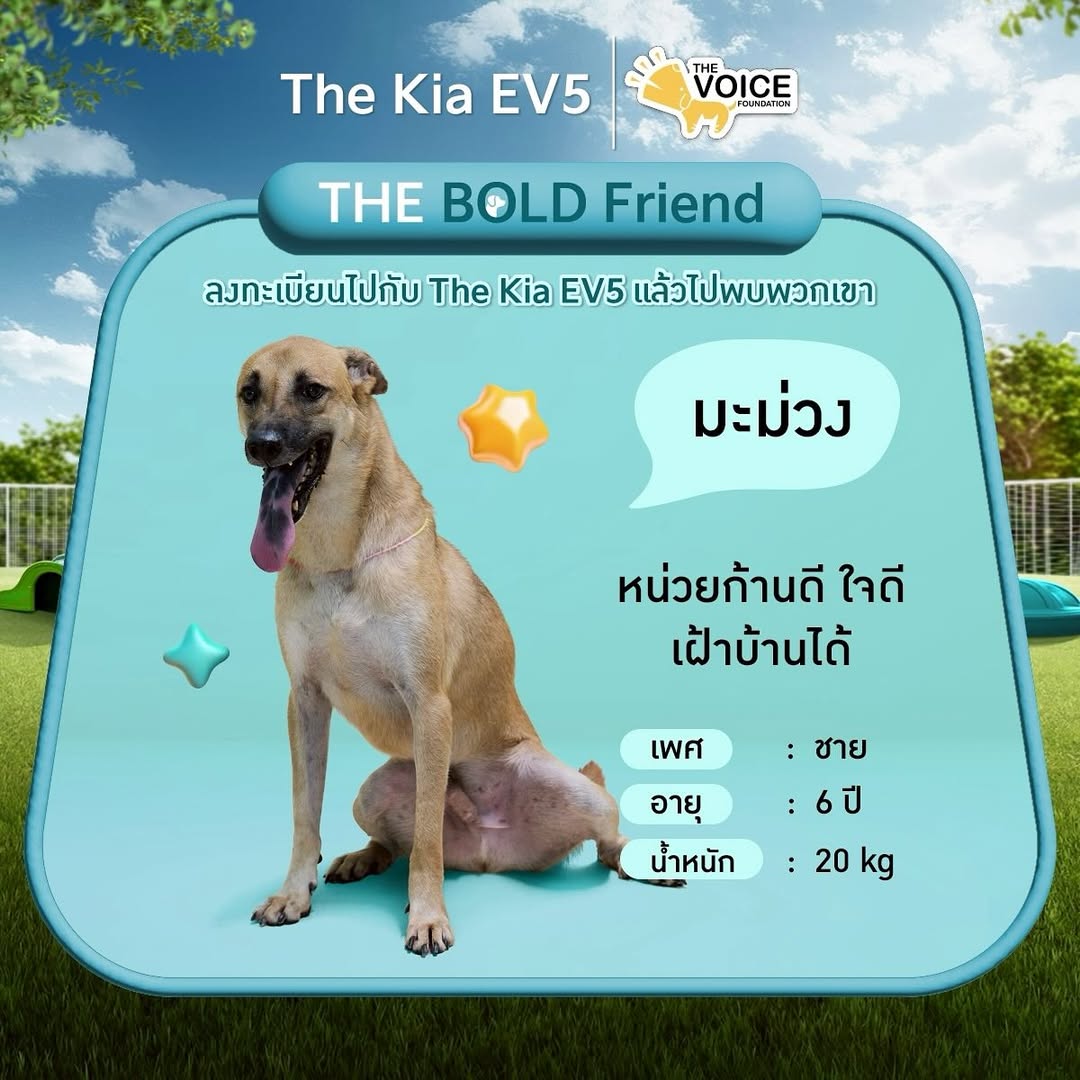 เก๋ - ชลลดา เมฆราตรี