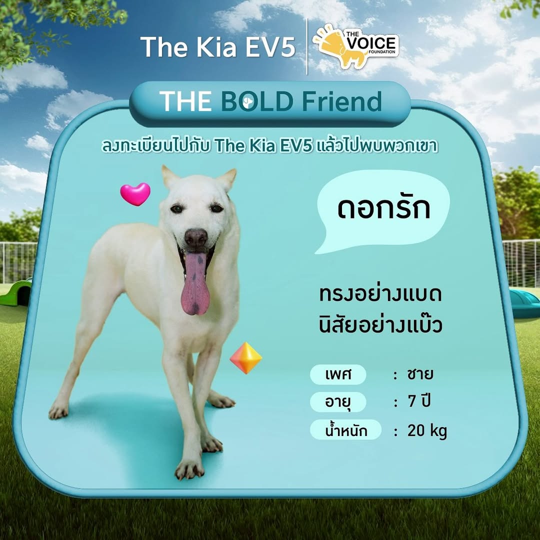 เก๋ - ชลลดา เมฆราตรี