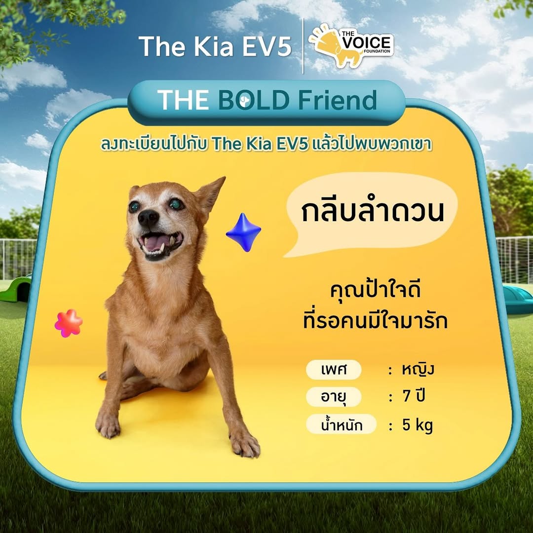 เก๋ - ชลลดา เมฆราตรี