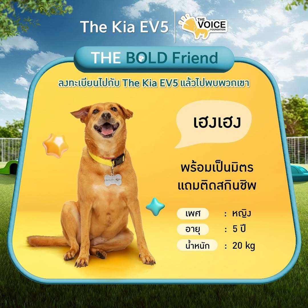 เก๋ - ชลลดา เมฆราตรี