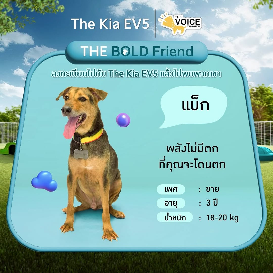 เก๋ - ชลลดา เมฆราตรี