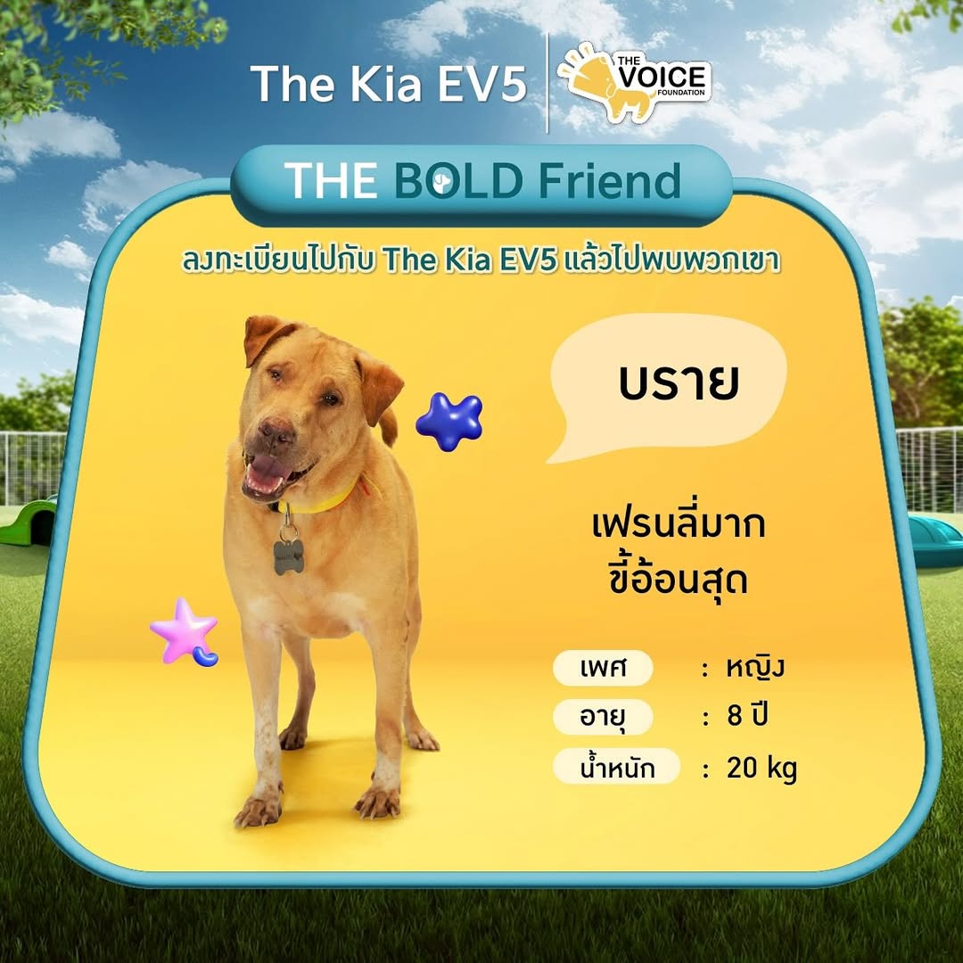 เก๋ - ชลลดา เมฆราตรี