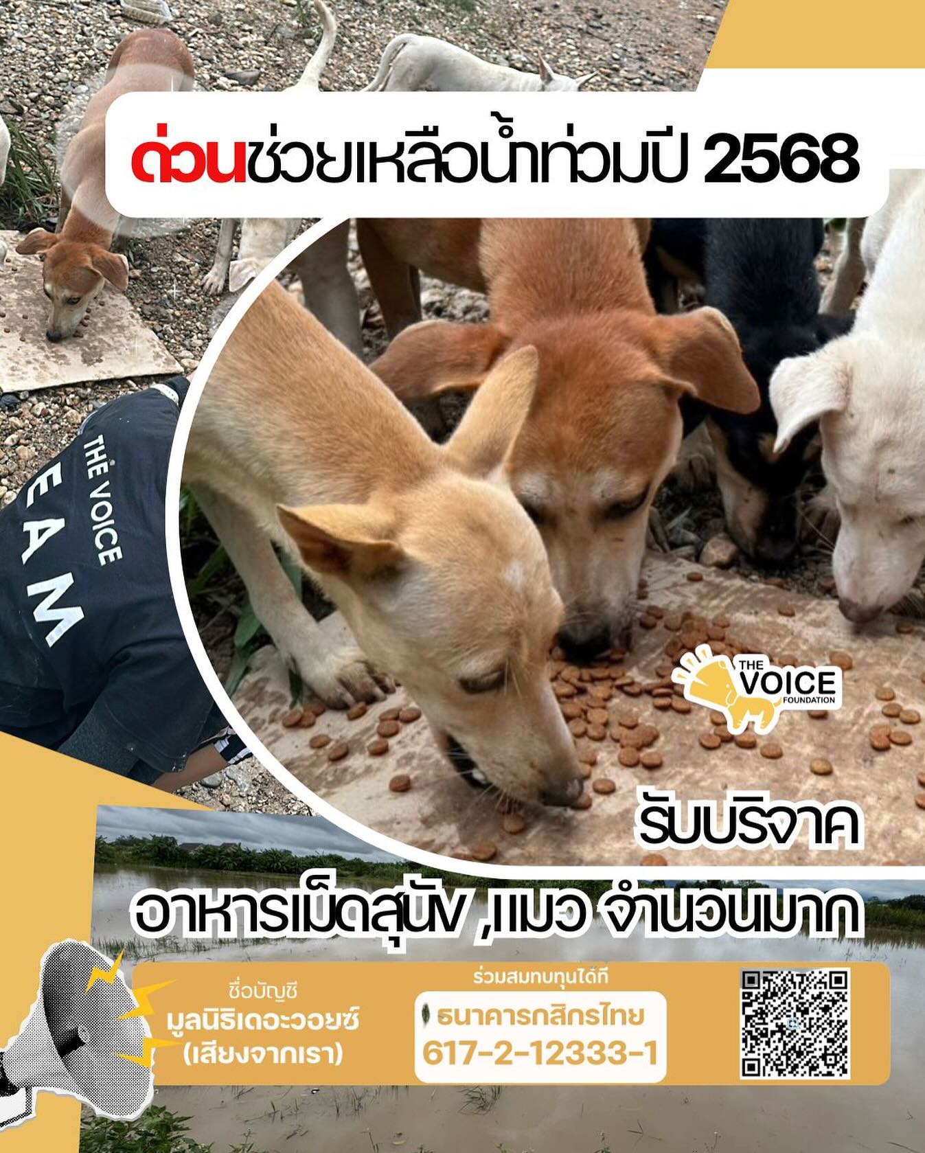เก๋ - ชลลดา เมฆราตรี