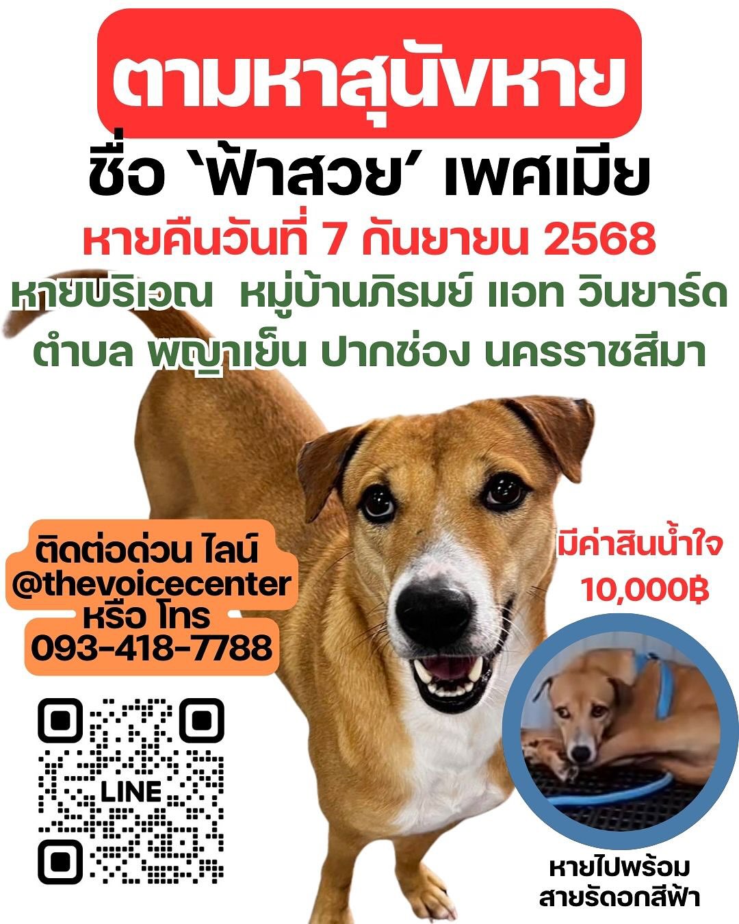 เก๋ - ชลลดา เมฆราตรี