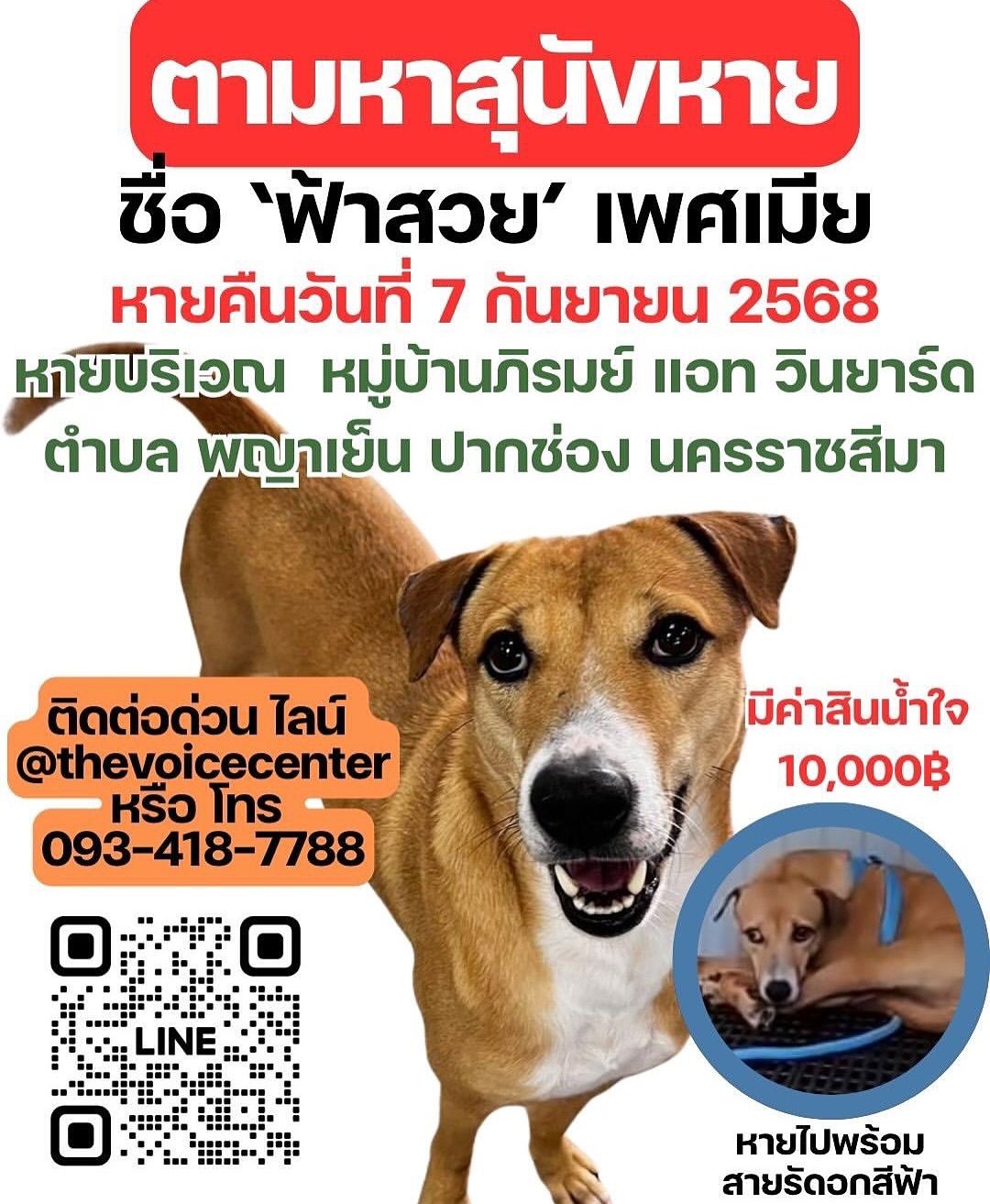 เก๋ - ชลลดา เมฆราตรี