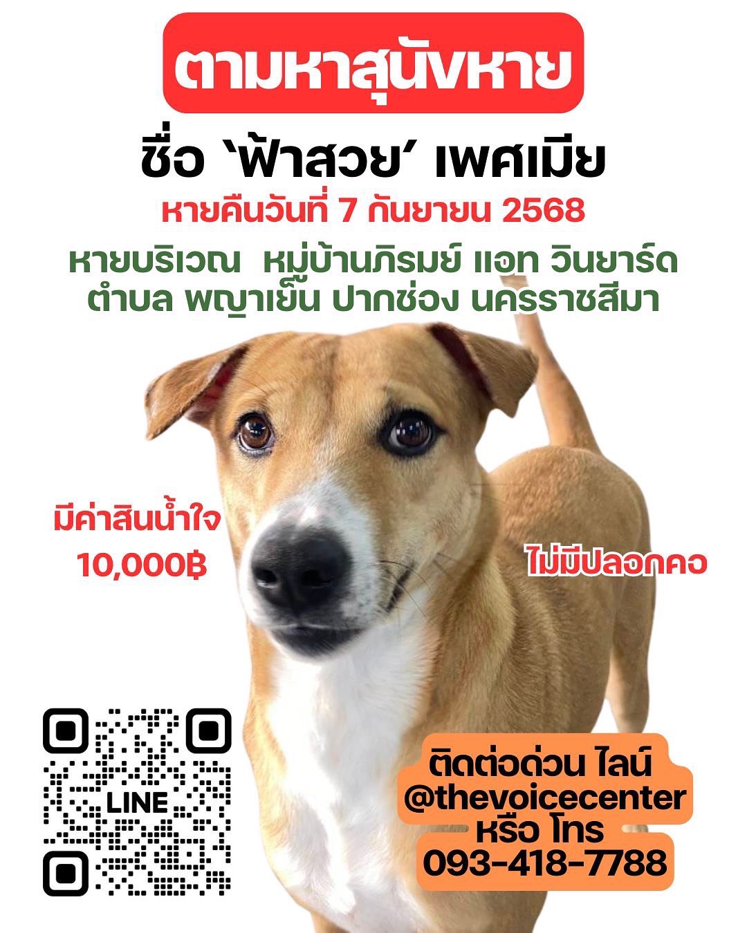 เก๋ - ชลลดา เมฆราตรี