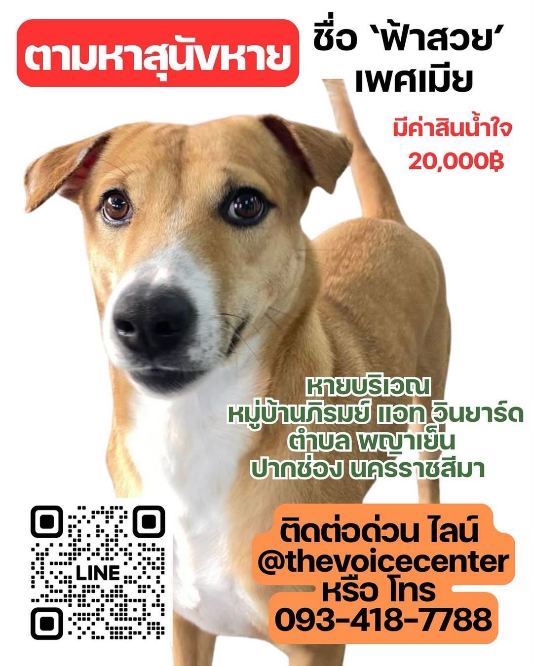 เก๋ - ชลลดา เมฆราตรี