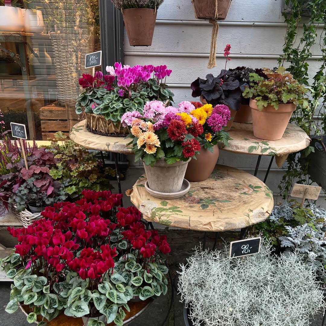 เก๋ - ชลลดา เมฆราตรี