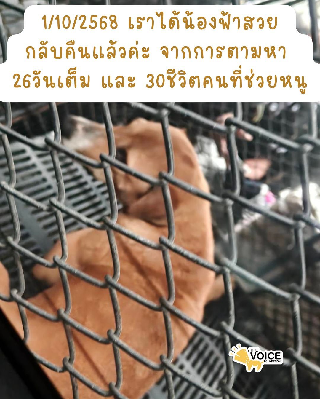 เก๋ - ชลลดา เมฆราตรี