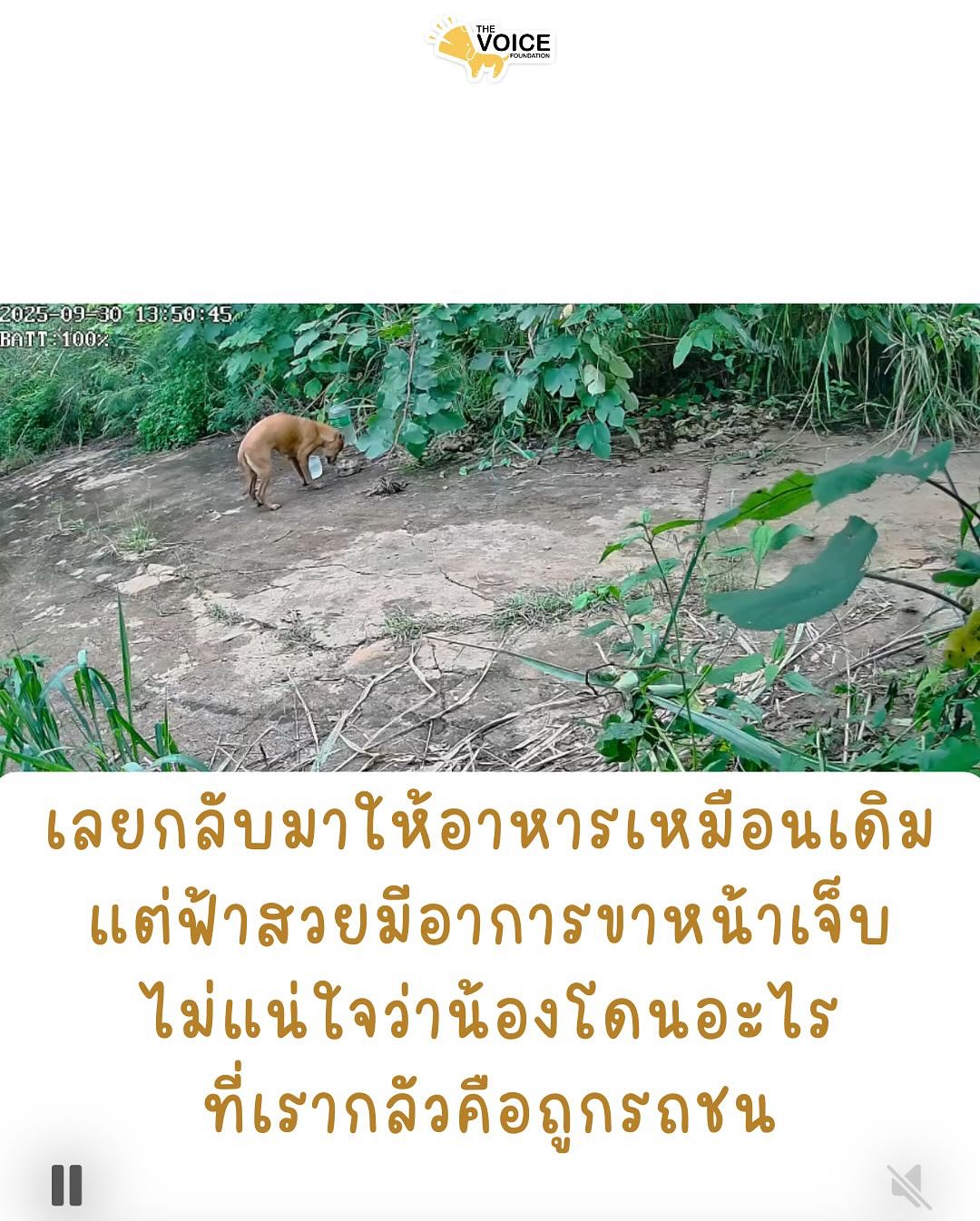 เก๋ - ชลลดา เมฆราตรี