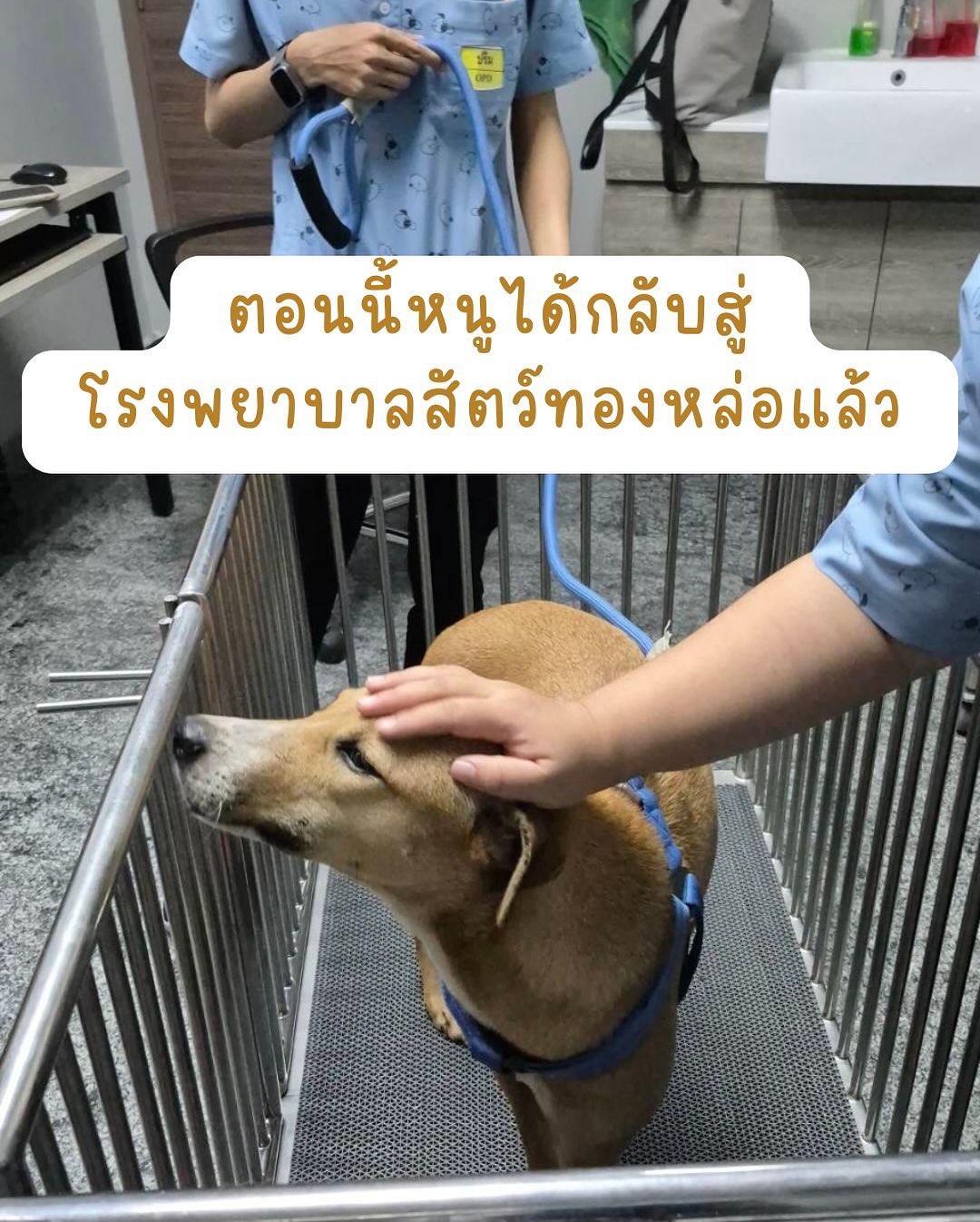 เก๋ - ชลลดา เมฆราตรี