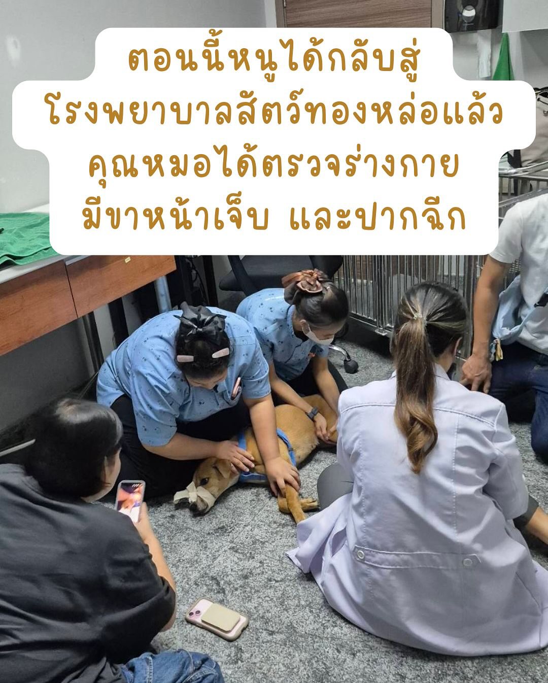 เก๋ - ชลลดา เมฆราตรี