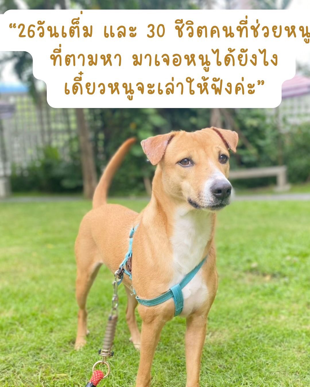 เก๋ - ชลลดา เมฆราตรี