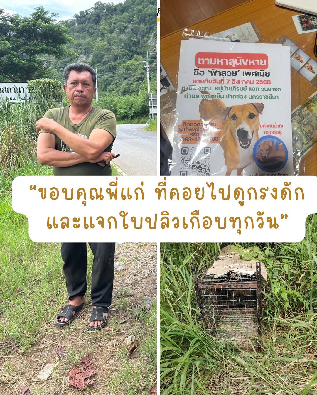 เก๋ - ชลลดา เมฆราตรี