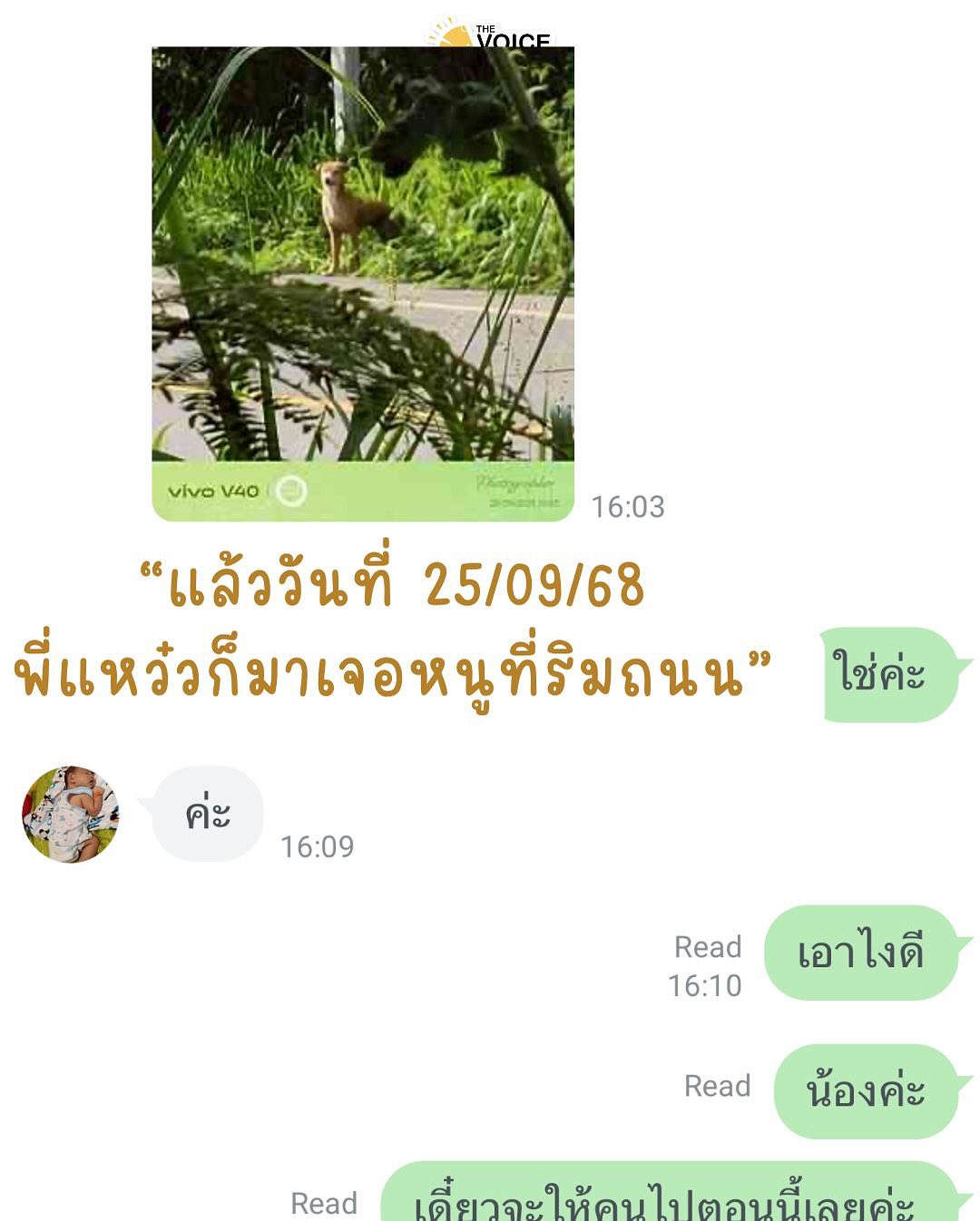 เก๋ - ชลลดา เมฆราตรี