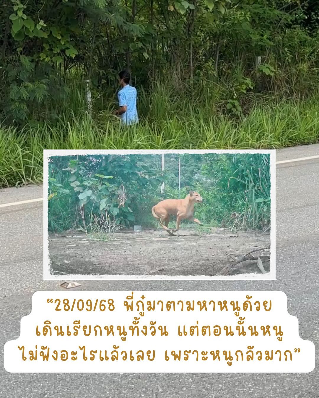 เก๋ - ชลลดา เมฆราตรี