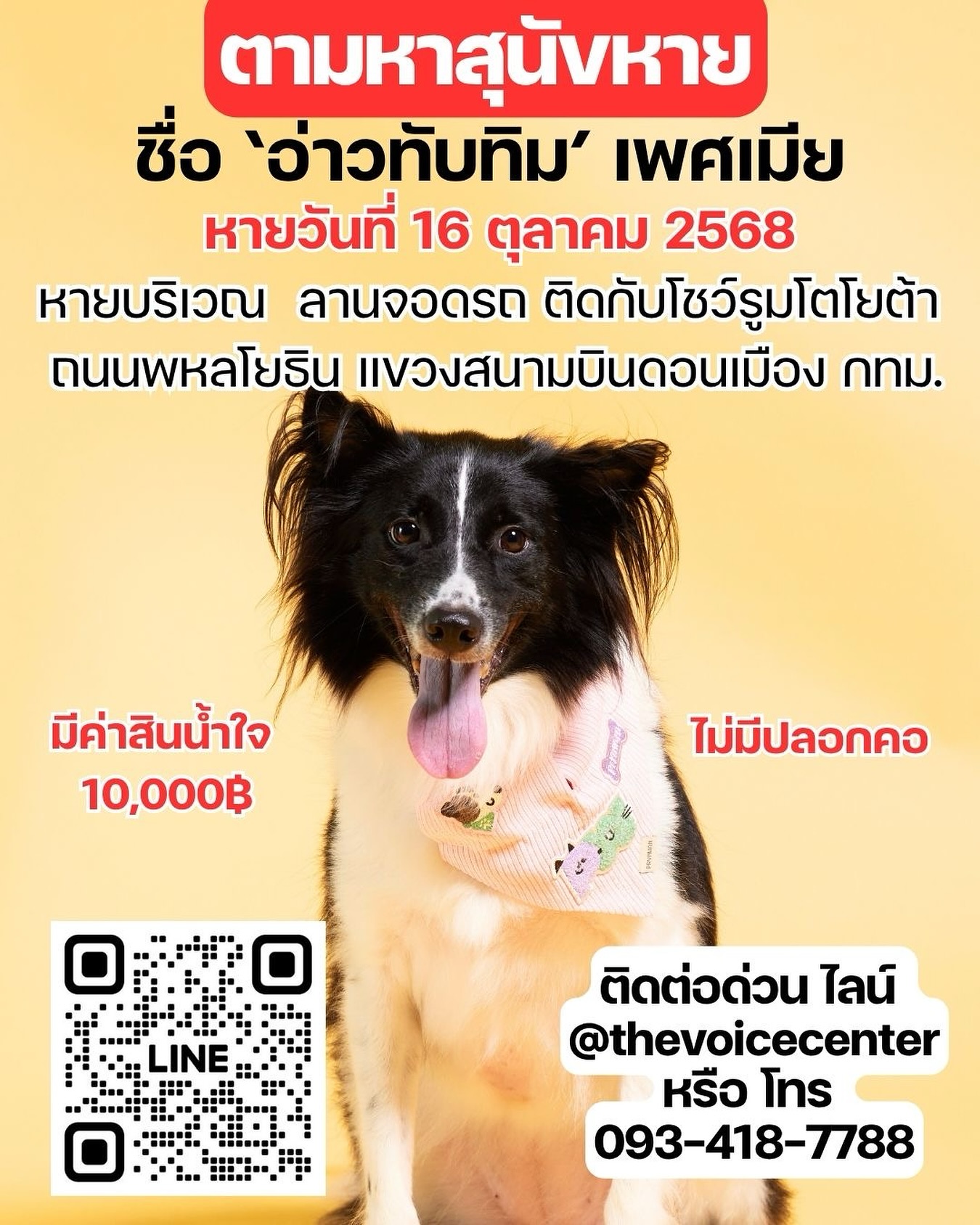 เก๋ - ชลลดา เมฆราตรี