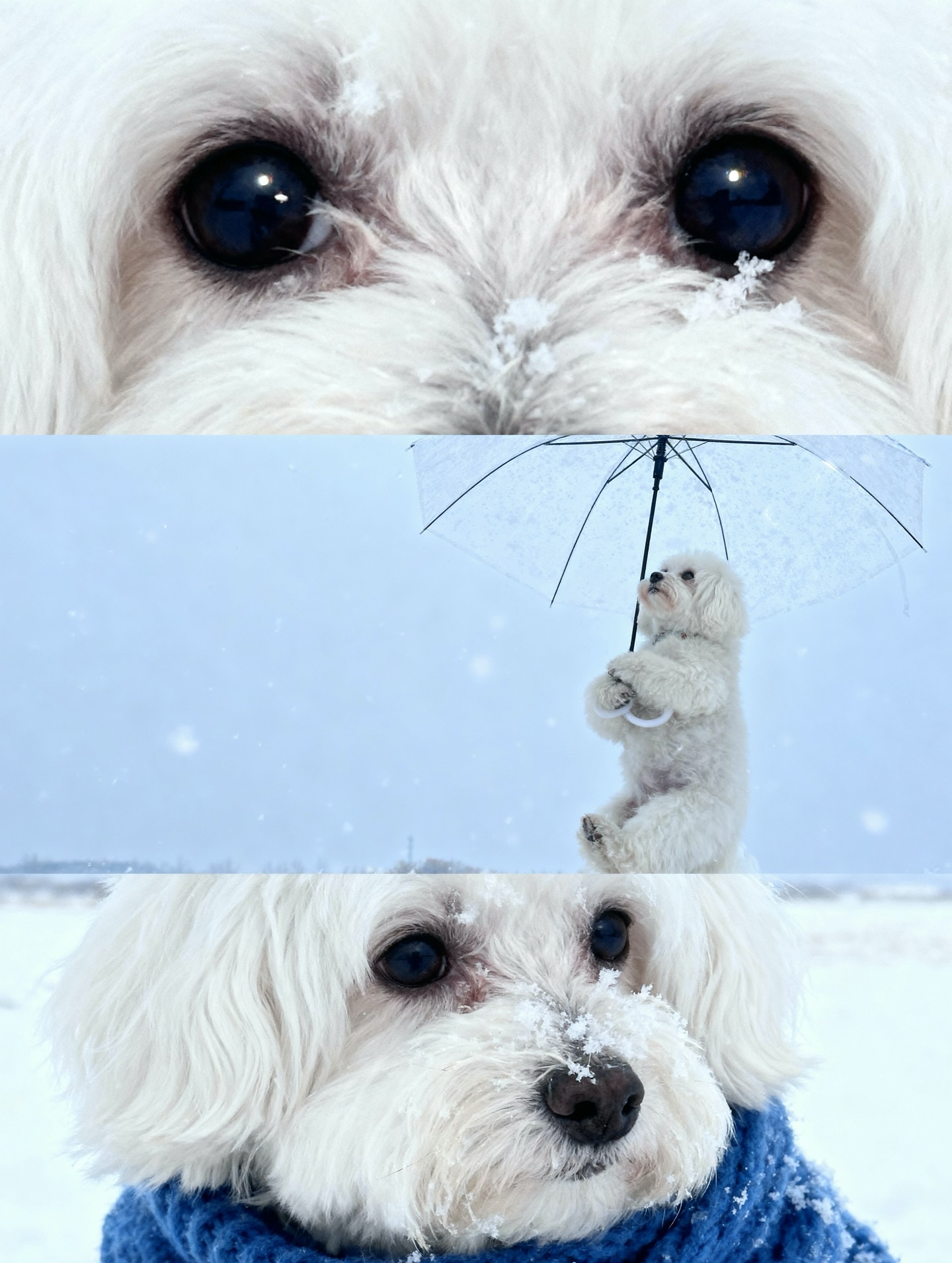 เก๋ - ชลลดา เมฆราตรี