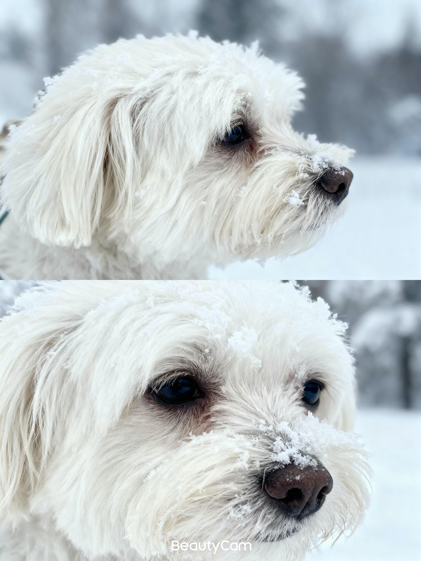 เก๋ - ชลลดา เมฆราตรี