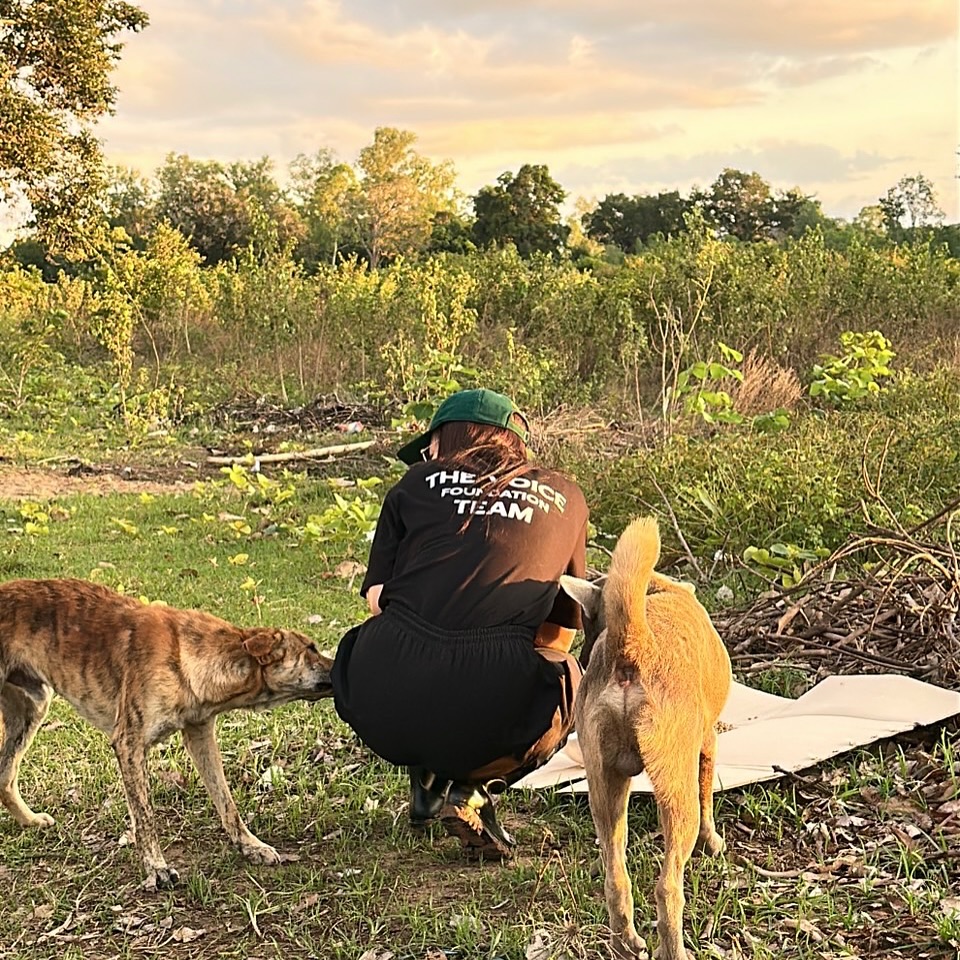 เก๋ - ชลลดา เมฆราตรี