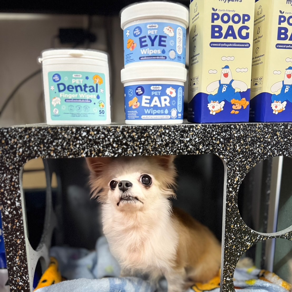 เก๋ - ชลลดา เมฆราตรี