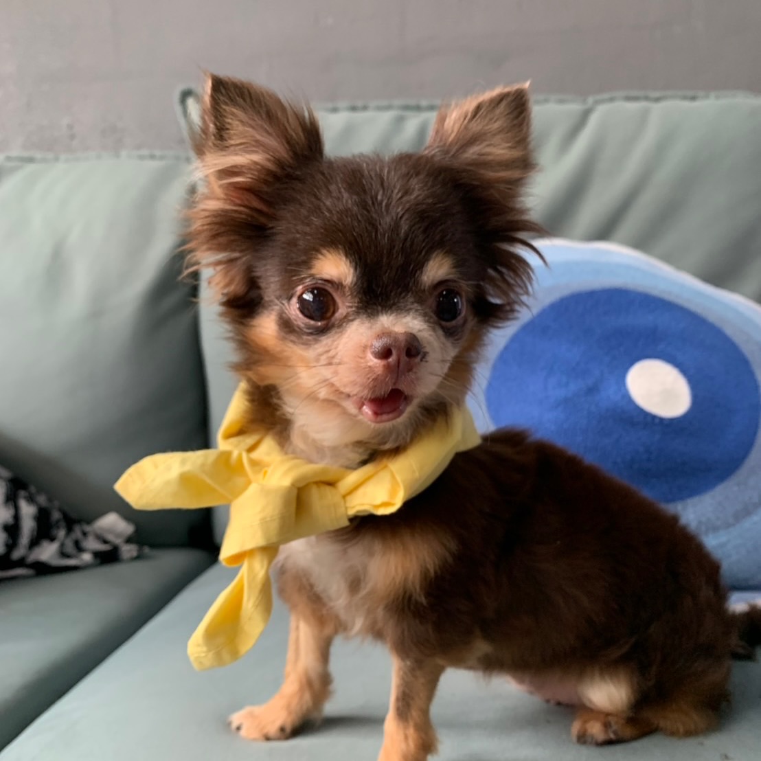 เก๋ - ชลลดา เมฆราตรี