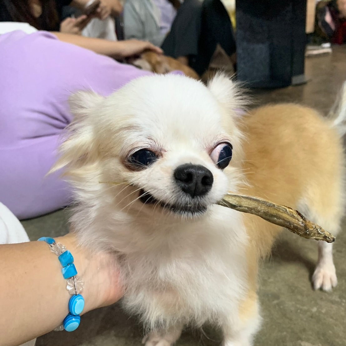 เก๋ - ชลลดา เมฆราตรี