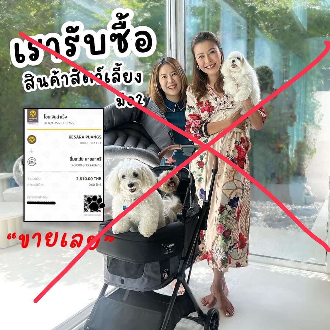เก๋ - ชลลดา เมฆราตรี