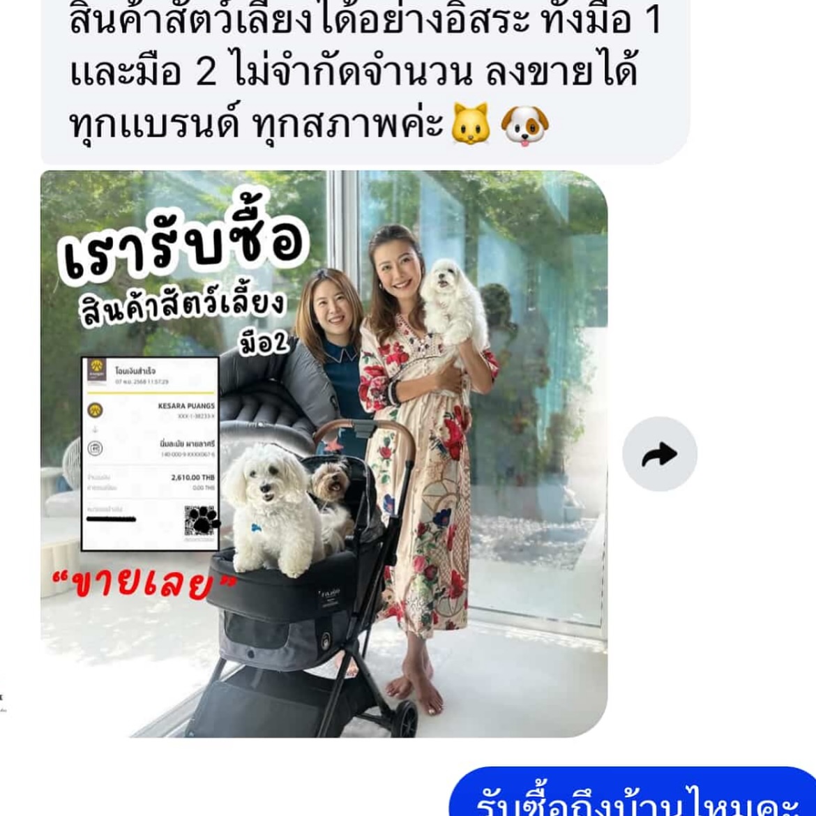 เก๋ - ชลลดา เมฆราตรี