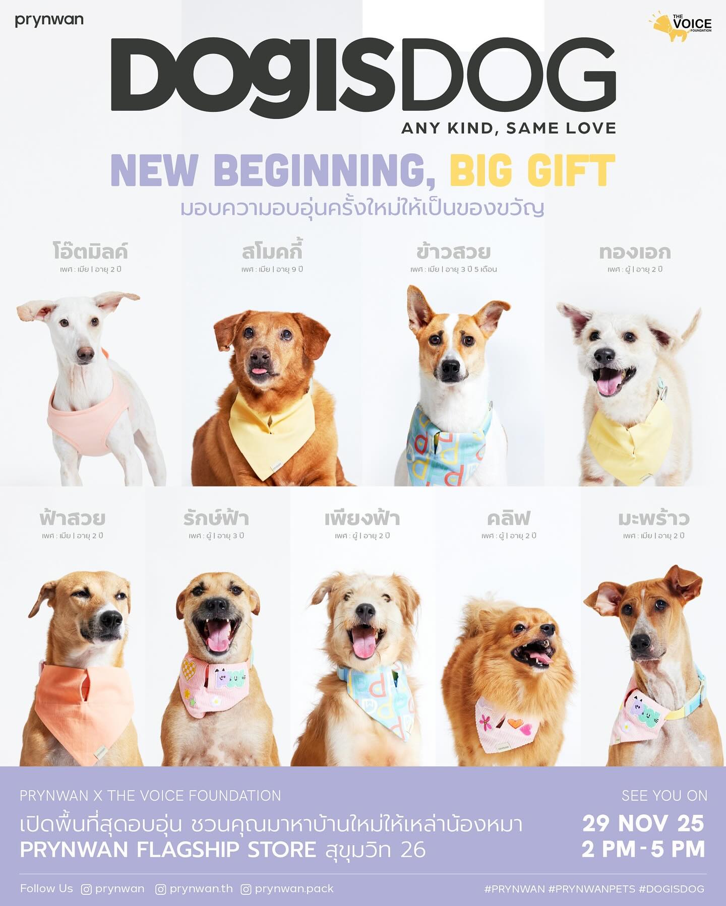 เก๋ - ชลลดา เมฆราตรี