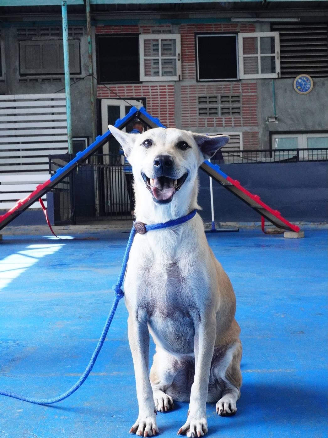 เก๋ - ชลลดา เมฆราตรี