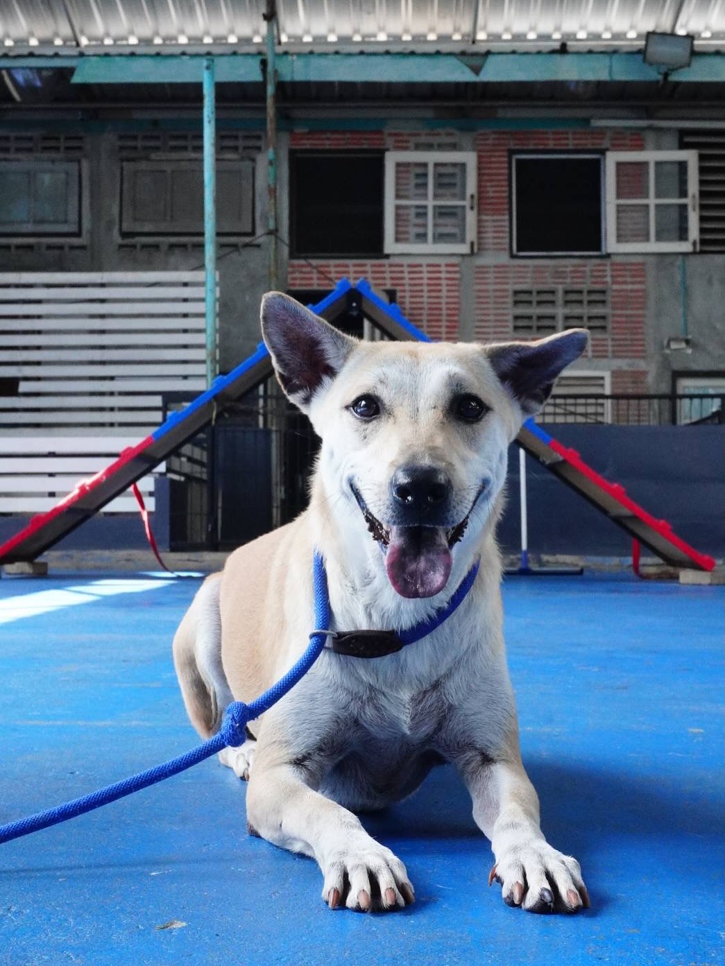 เก๋ - ชลลดา เมฆราตรี