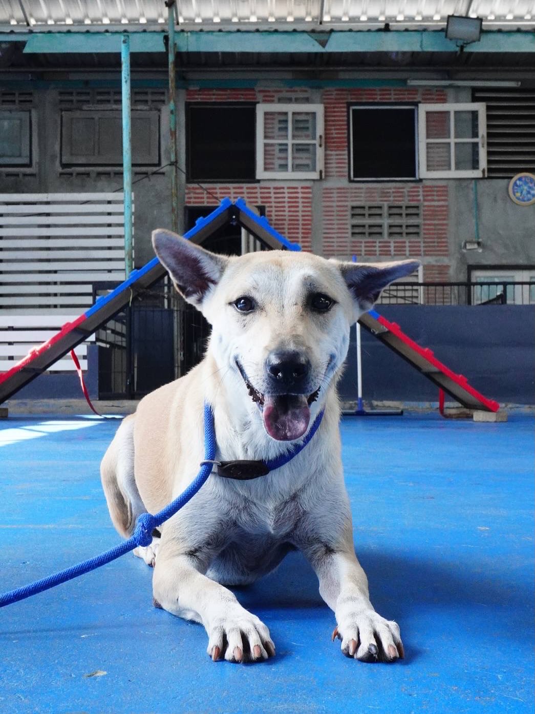 เก๋ - ชลลดา เมฆราตรี