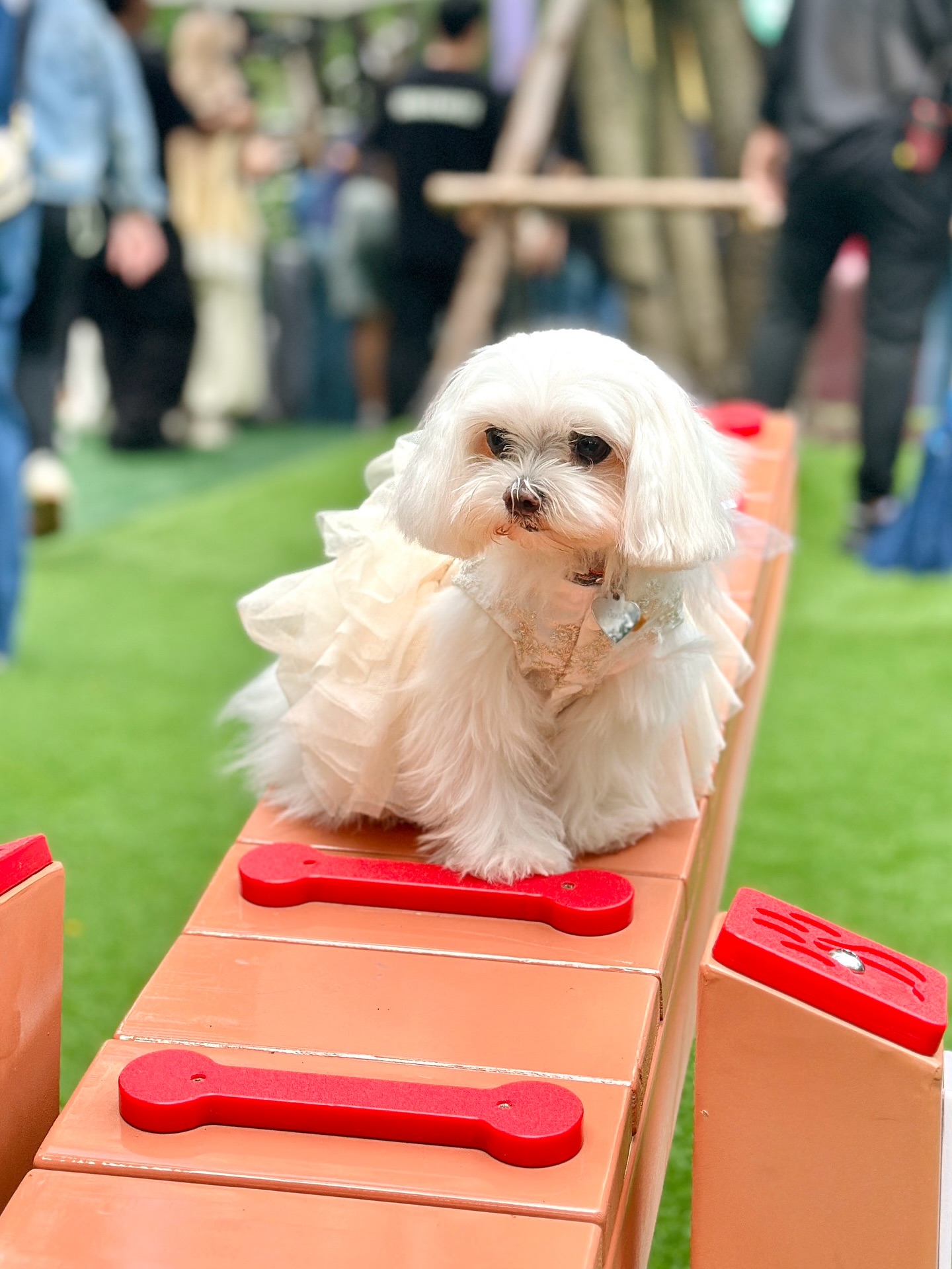 เก๋ - ชลลดา เมฆราตรี