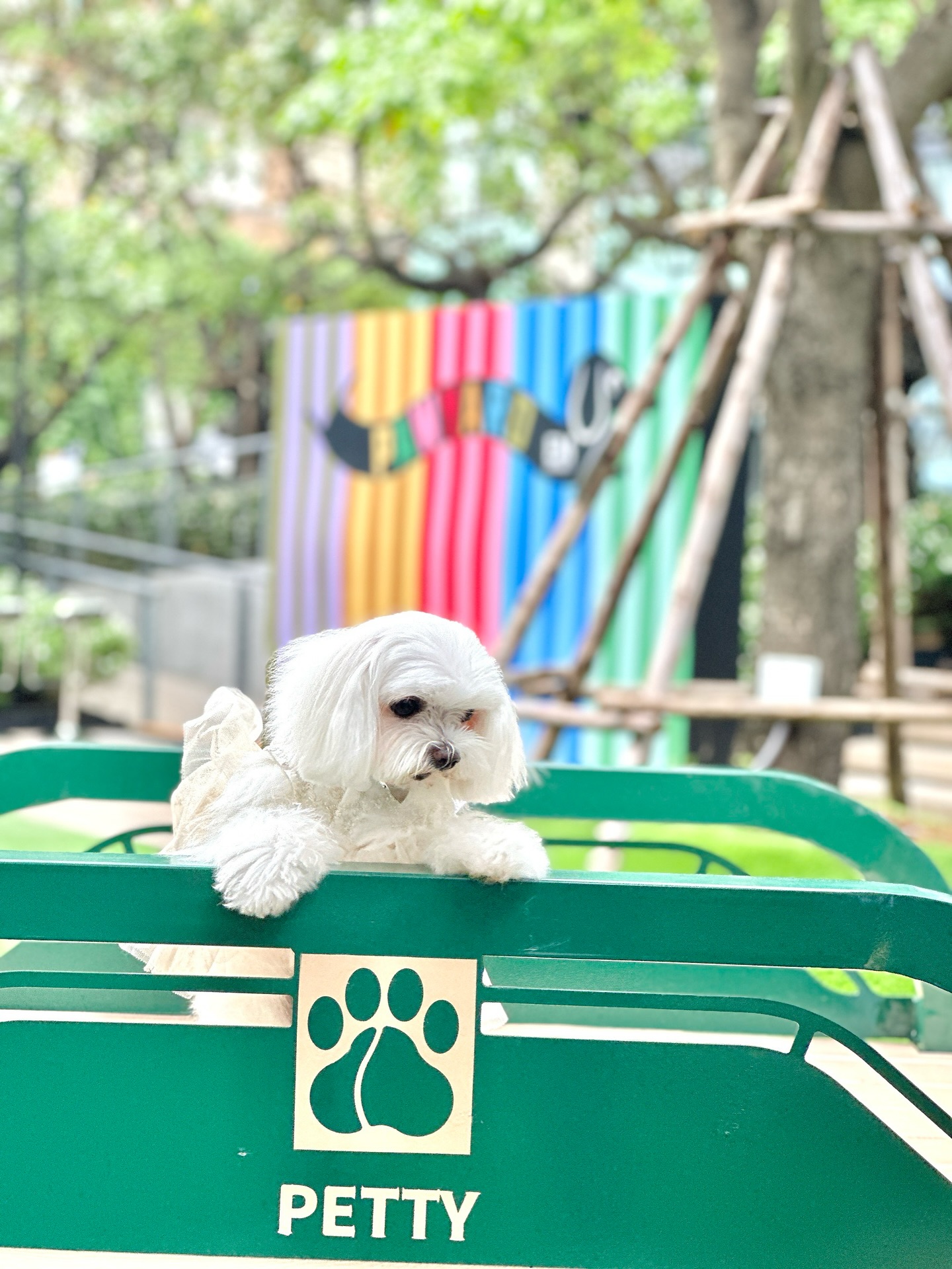 เก๋ - ชลลดา เมฆราตรี