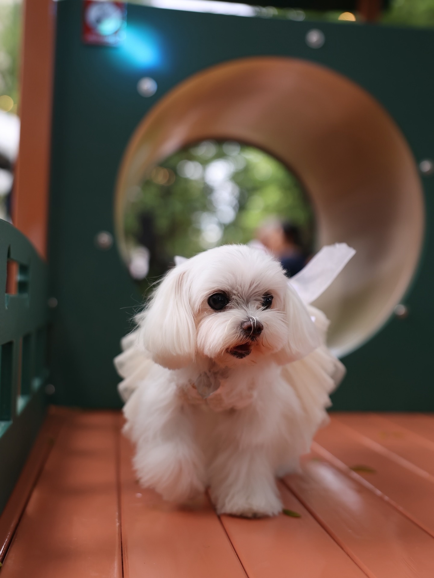 เก๋ - ชลลดา เมฆราตรี