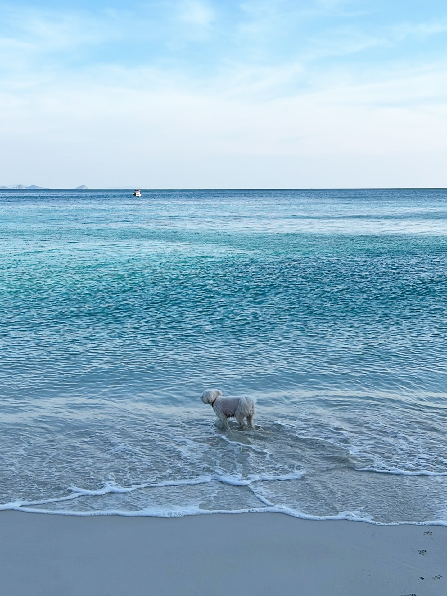 เก๋ - ชลลดา เมฆราตรี