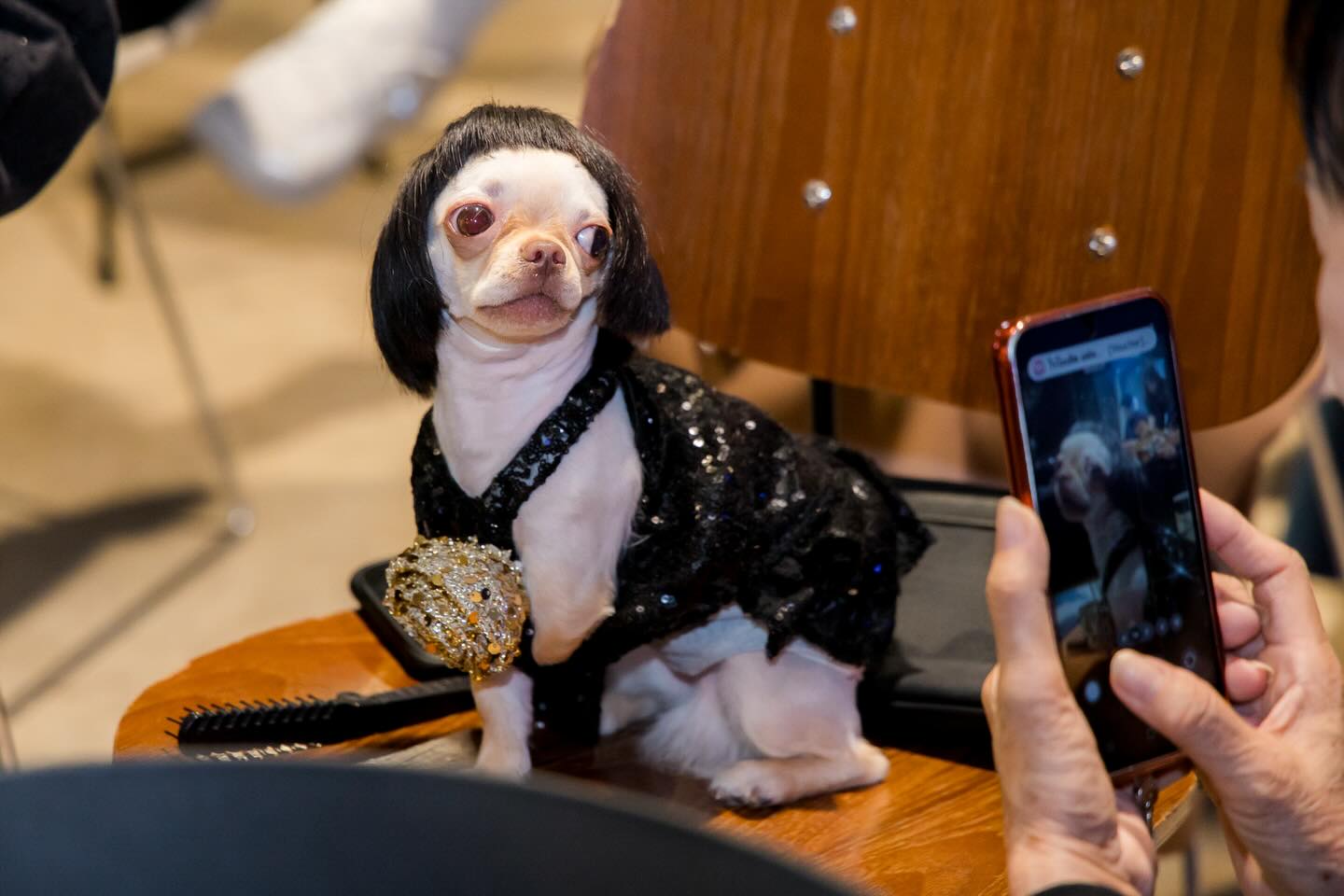 เก๋ - ชลลดา เมฆราตรี