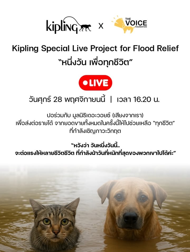 เก๋ - ชลลดา เมฆราตรี